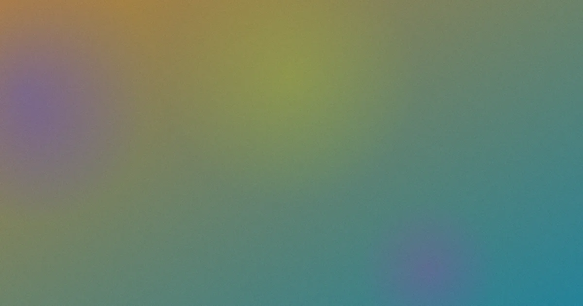 中文字幕推荐：新手对比选